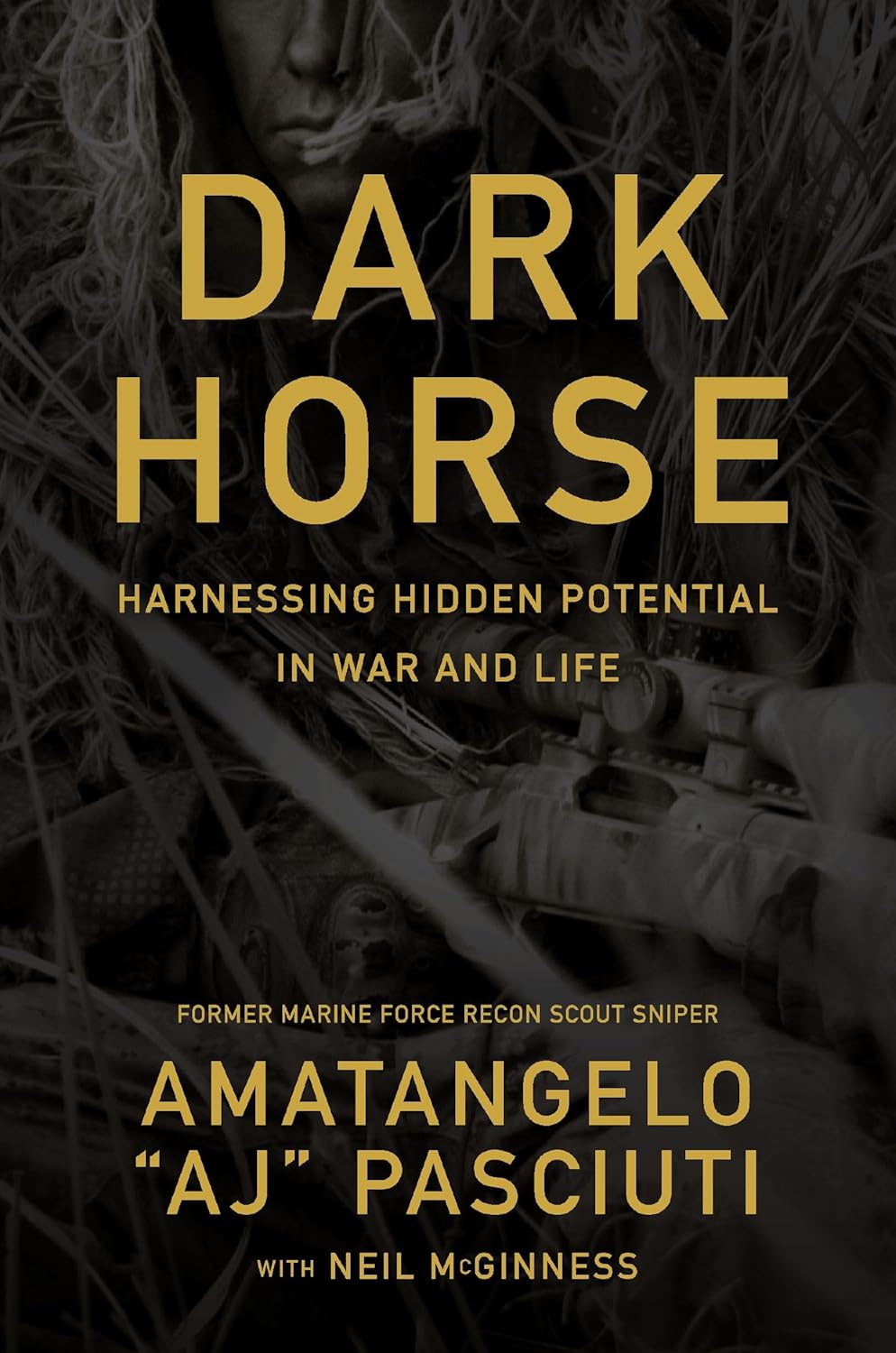 Darkhorse by Amatangelo AJ Pasciuti