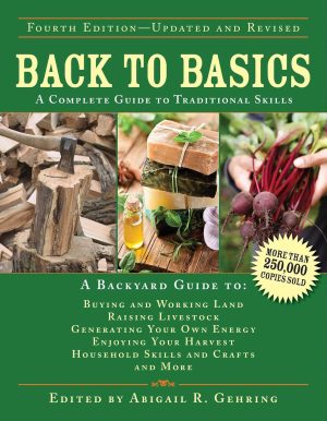 Back to Basics by Abigail Gehring