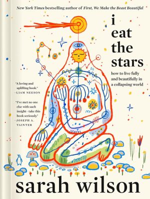 I Eat the Stars by Sarah Wilson 